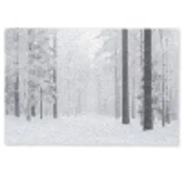 Bos - Sneeuw - Pad - Winter - Stilte Deurmat klein -zkaufland3d