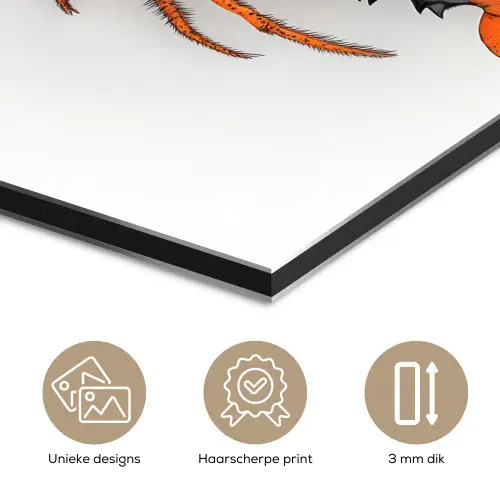 Kreeft - Zwart - Oranje - Wit - Uniek aluminium wit klein -closeup_NL