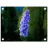 Bloemen - Blauw - Dennenboom tuinposter los doek klein -3d