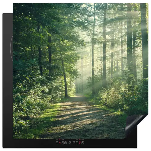Bos - Pad - Zon - Bomen - Groen - Natuur Inductie beschermer vinyl 3mm middel -3d