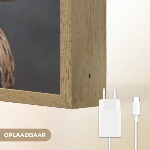 Stier - Kleurrijk - Hoorns Light Box met batterij (Wandlamp) middel -USP_websiteoplaadbaarNL
