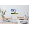 Koe - Dieren - Bloemen - Gras Muursticker klein -eettafel