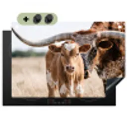 Texas Longhorn - Kalf - Weide - Dieren Inductie beschemer met haakjes klein -3d