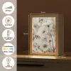 Bloemen - Winter - Wit - Sneeuw - Beige Light Box met kabel (Tafellamp) klein -USP_NL