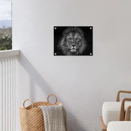 Zwart-wit portret van een leeuw tuinposter los doek klein -sfeer8