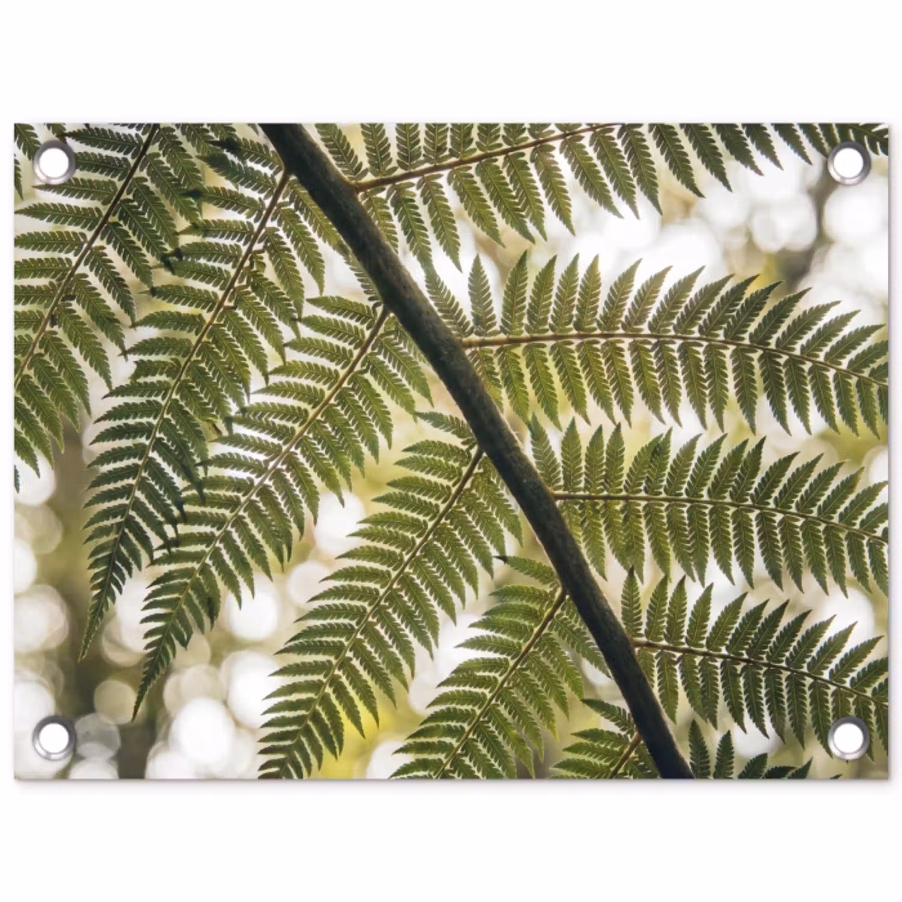 Plant - Blad - Natuur - Groen - Detail tuinposter los doek klein -3d