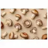 Kastanje Champignons - Beige poster papier klein -3d