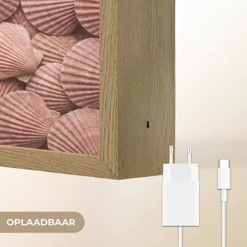 Schelpen - Patroon - Roze Light Box met batterij (Wandlamp) middel -USP_websiteoplaadbaarNL