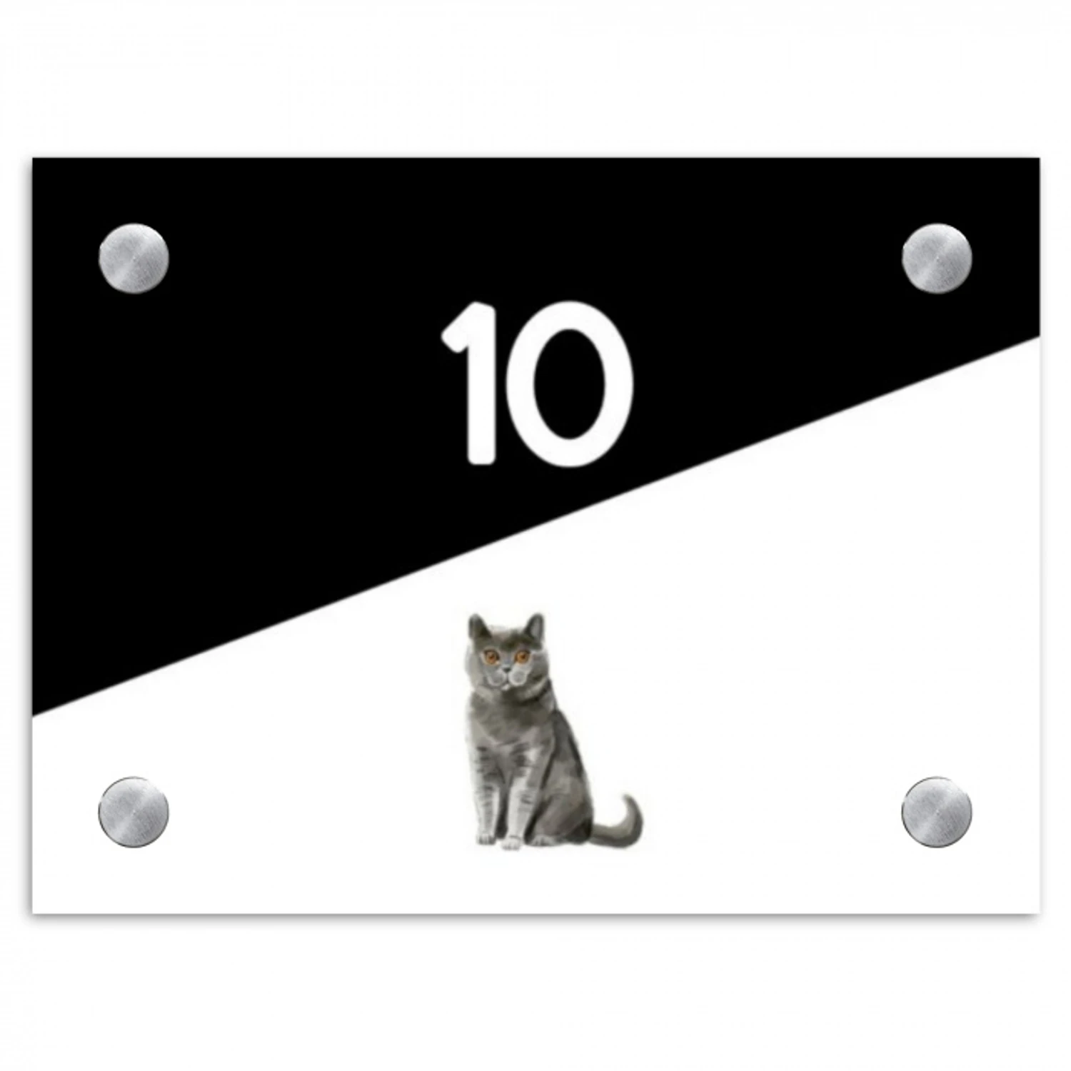 Zwart wit - Huisdier - Grijze kat Naambord Rechthoek middel -3d