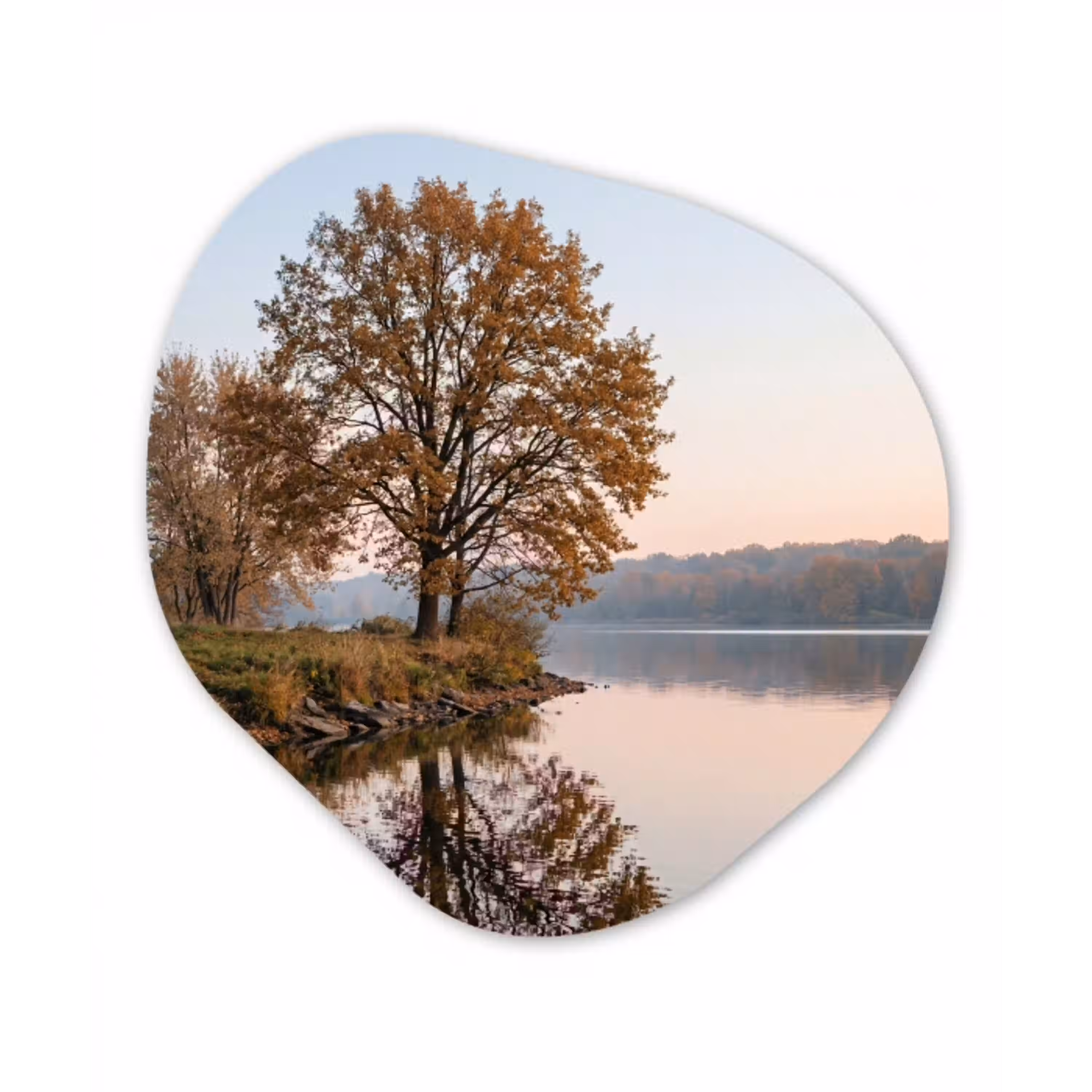 Bomen - Reflectie - Water - Zonsopgang - Serene Wandcirkel Organisch Forex 3mm klein -3d