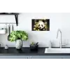 Panda - Pandabeer - Wilde dieren - Natuur - Bloemen Muursticker klein -keuken