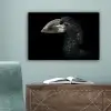 Vogel - Portret - Neushoornvogel - Zwart - Dieren canvas 2cm klein -sfeer4