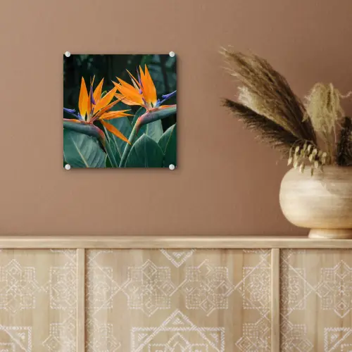 Paradijsvogel - Bloem - Exotisch plexiglas 5mm klein -sfeer5