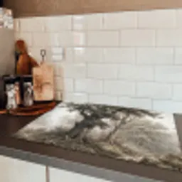 Natuur - Bos - Eik Inductie beschermer vinyl 3mm klein -sfeer3