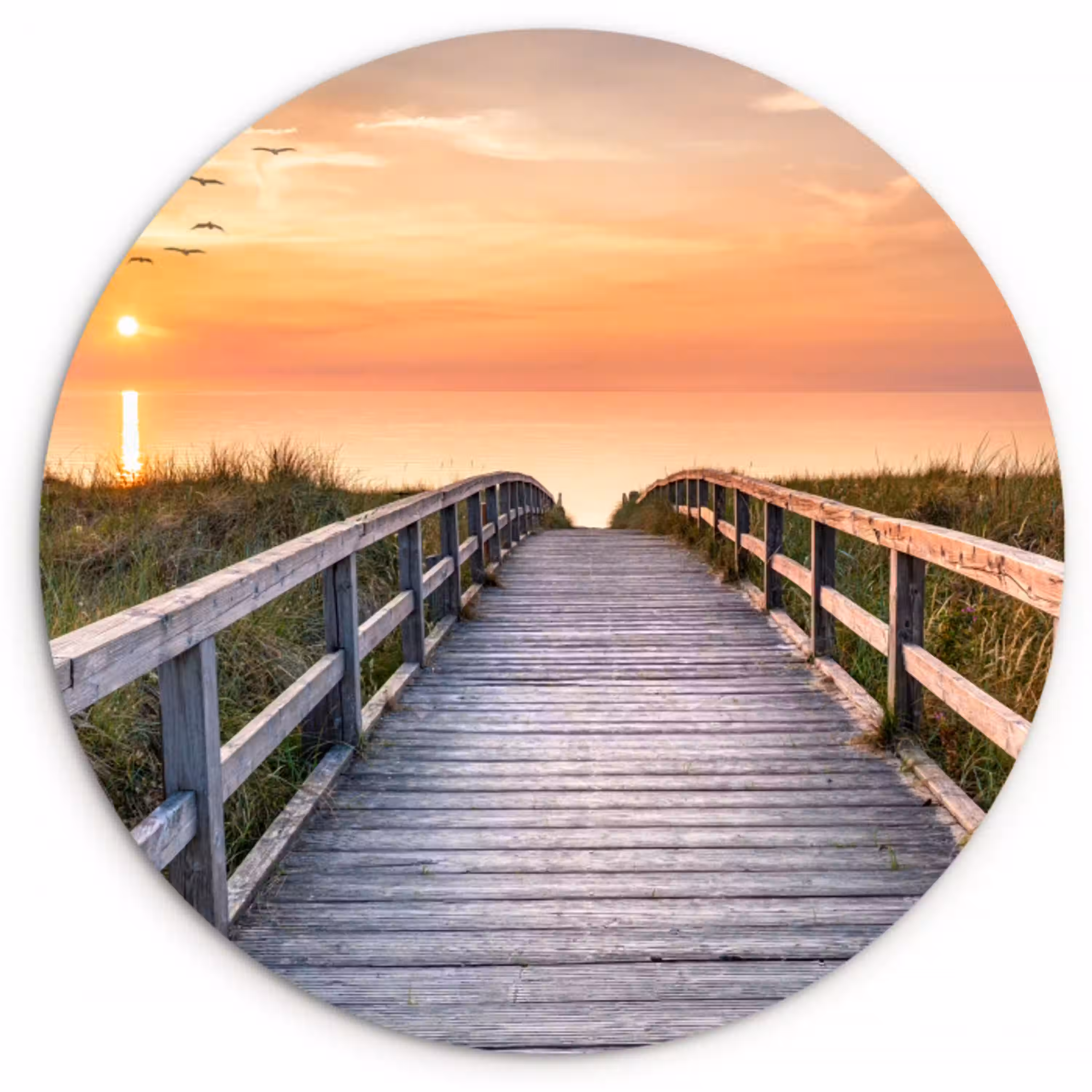 Zonsonderang - Zee - Pad - Gras - Duin - Vogels Wandcirkel kunststof plaat 5mm dik klein -3d