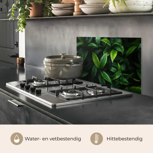 Bladeren - Regendruppels - Licht - Groen keuken achterwand spatscherm klein -usp_NL