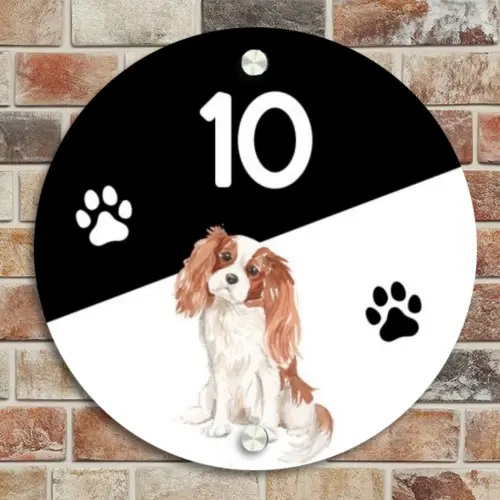 Zwart wit - Huisdier - Cavalier King Charles Spaniël Naambord Rond klein -sfeer2