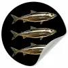 Vissen - Goud - Zwart Wandcirkel behangsticker klein -3d