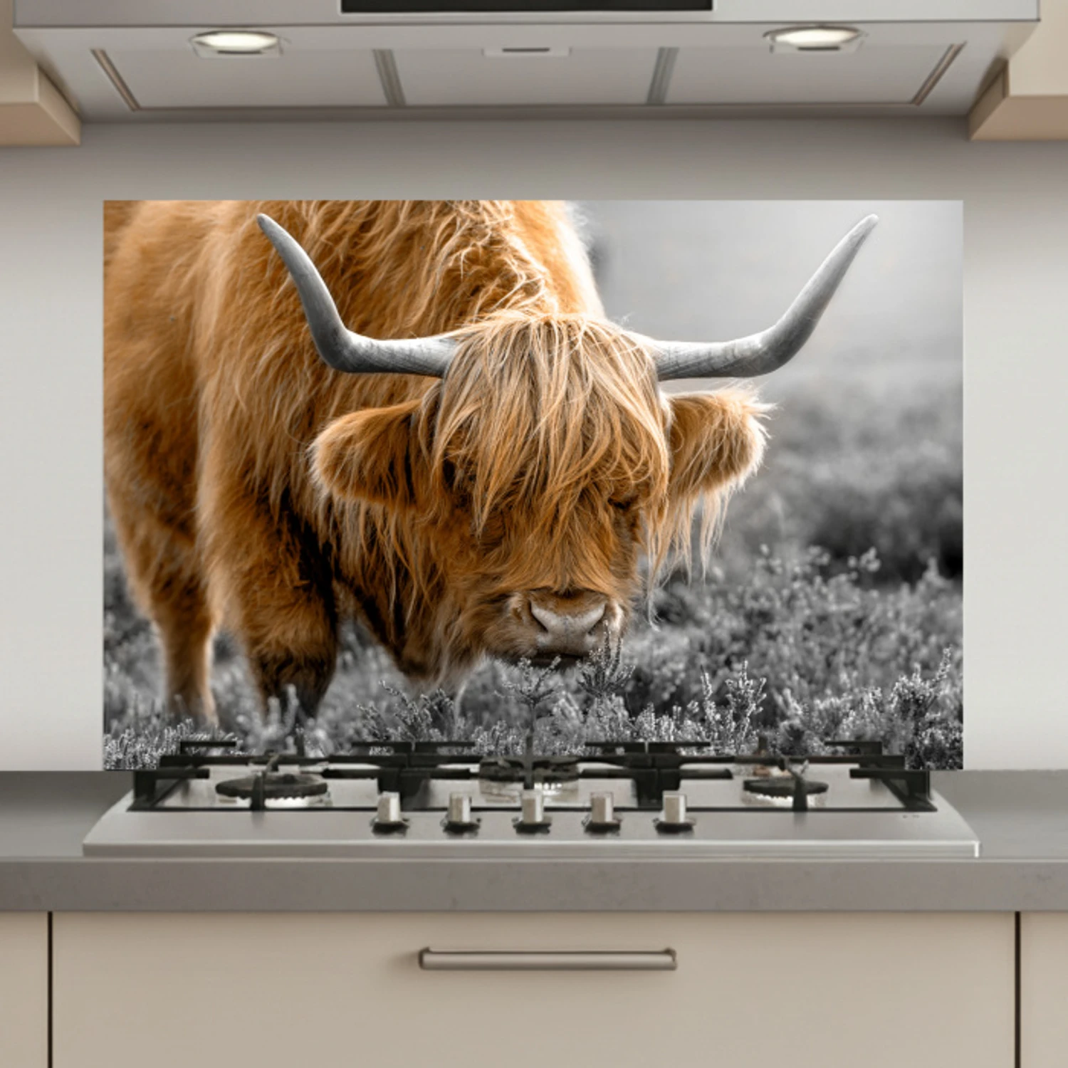 Schotse Hooglander - Dieren - Bruin - Koe - Zwart - Wit - Natuur keuken achterwand spatscherm klein -3d_website