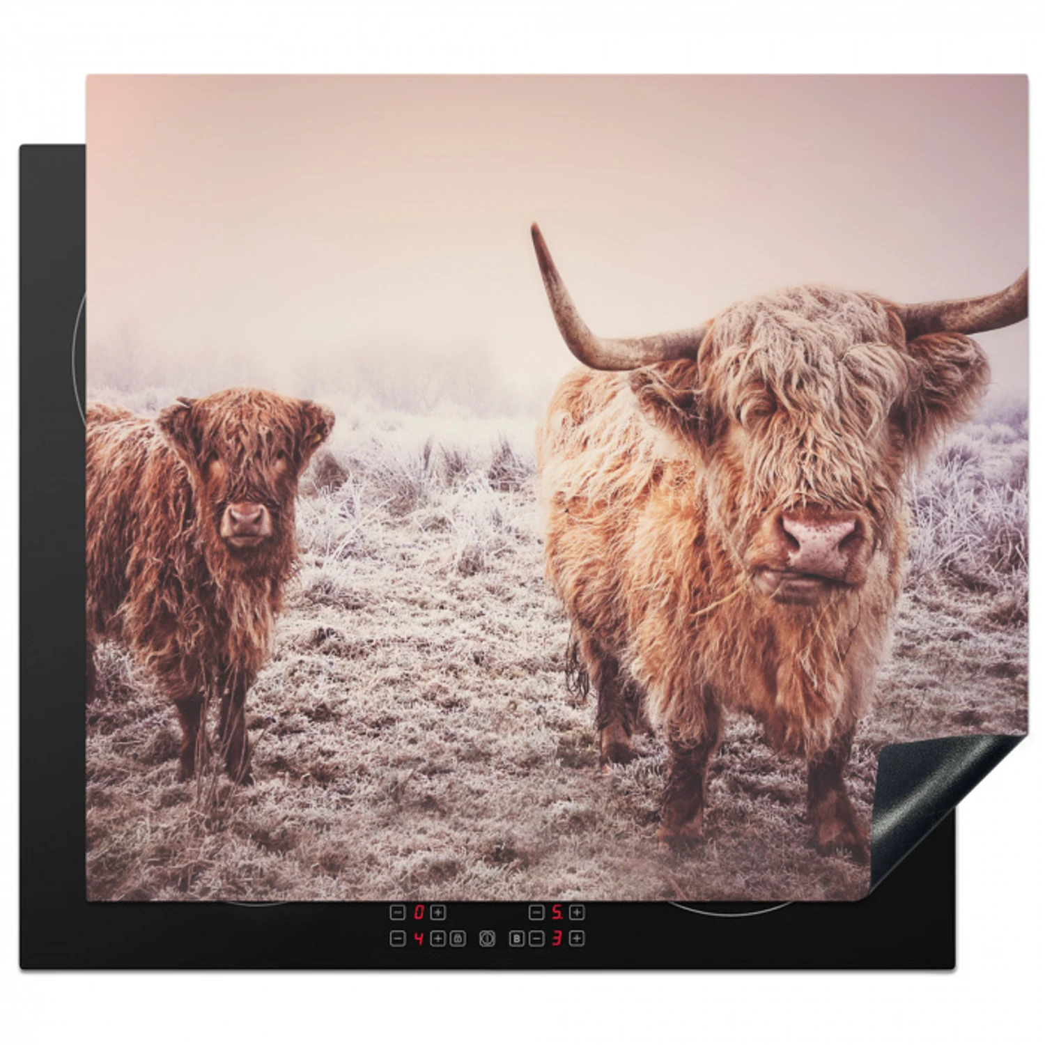 Schotse hooglanders - Licht - Lucht - Natuur Inductie beschermer vinyl 3mm middel -3d