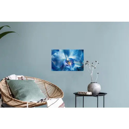 Blauw - Orchidee - Elegeant Muursticker klein -plant
