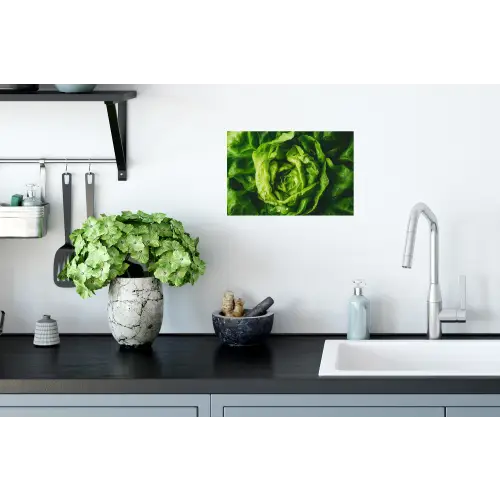 Groente - Sla - Groen Muursticker klein -keuken