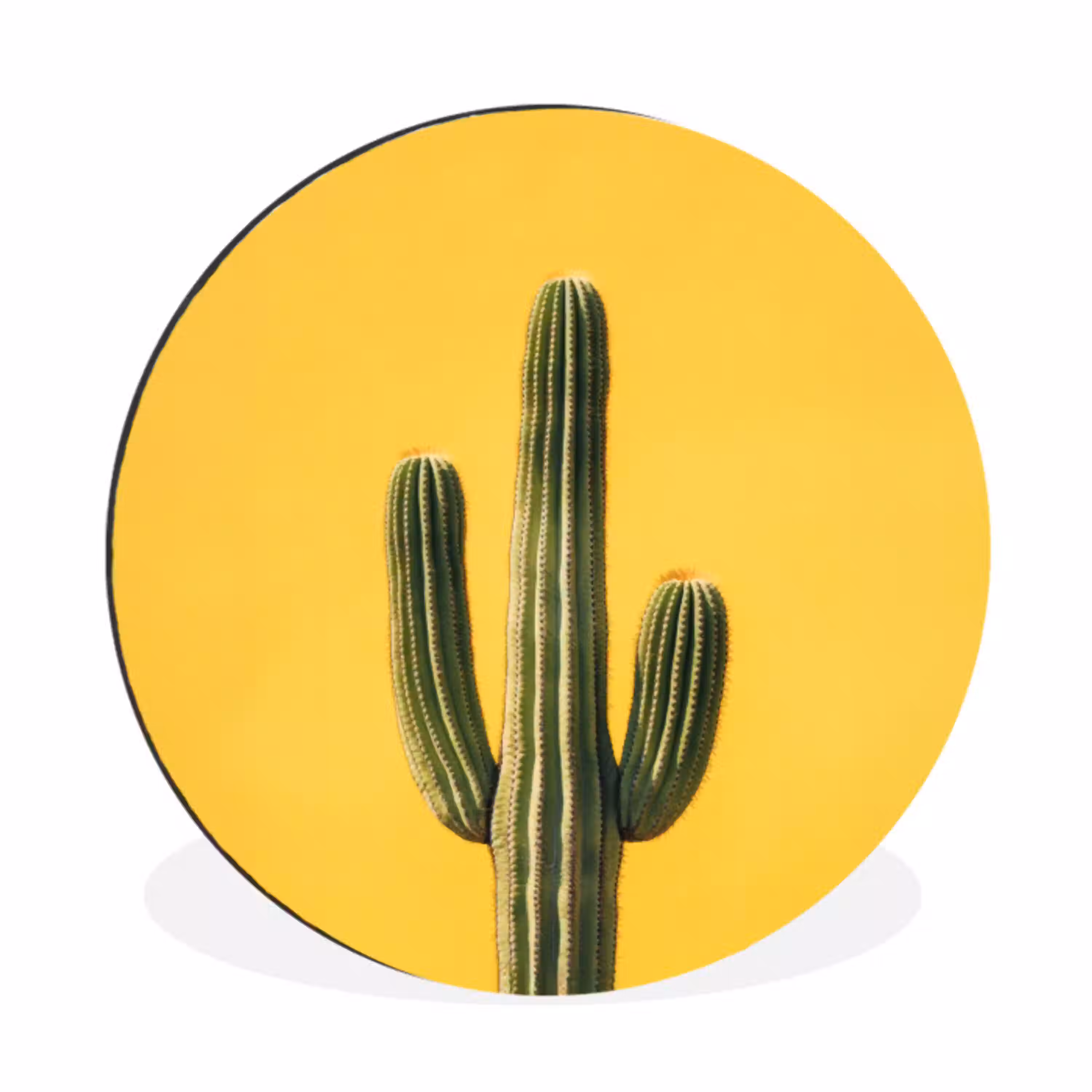 Cactus - Groen - Minimalistisch Wandcirkel aluminium klein -3d
