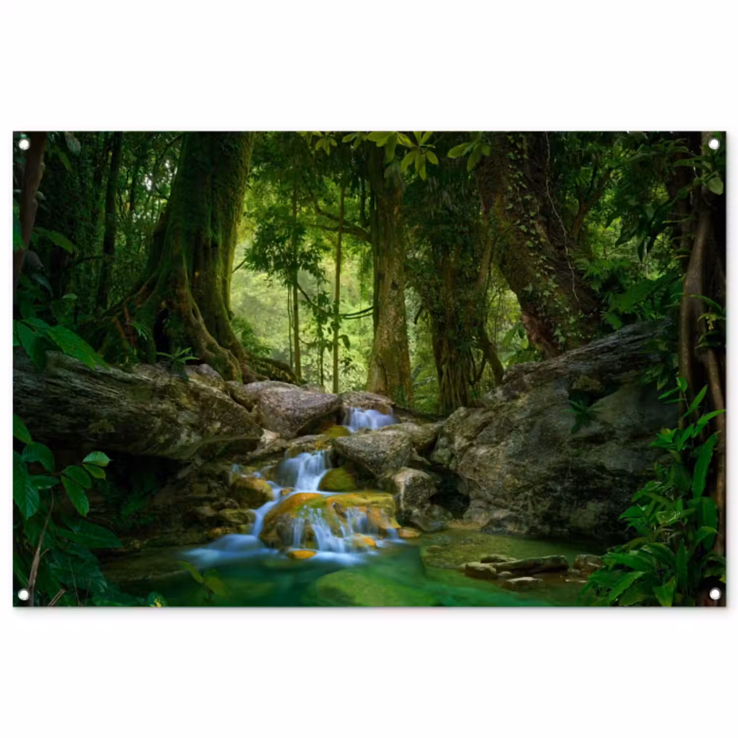 Tuinposter - Waterval in het Regenwoud
