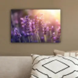 Lavendelbloemen - Paars - Zonlicht canvas 2cm klein -sfeer3