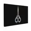 Schaar - Delfts blauw - Zwart canvas 2cm klein -z3d