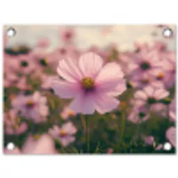 Bloemen - Paars - Wazig tuinposter los doek klein -3d