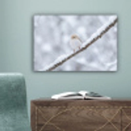 Vogeltje - Sneeuw - Tak - Winter - Zacht canvas 2cm klein -sfeer4