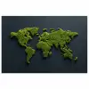 Wereldkaart - Mos -Levendig effect poster papier klein -3d