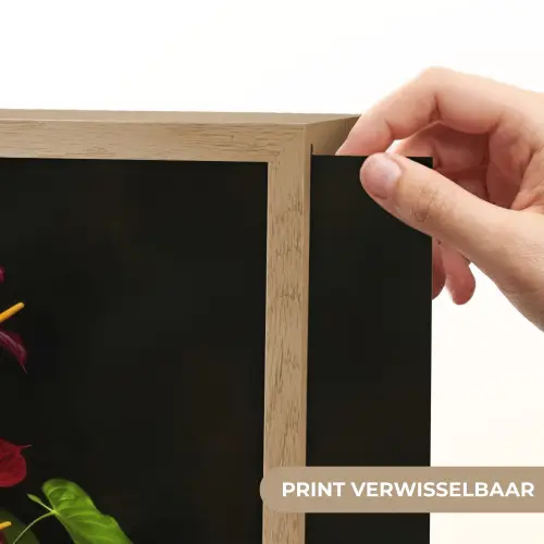 Bloemen - Vaas - Kleurrijk Light Box met batterij (Wandlamp) middel -USP_websiteprintNL