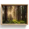 Bos - Gras - Zonlicht Dienblad Rechthoek middel -z3d_shopping