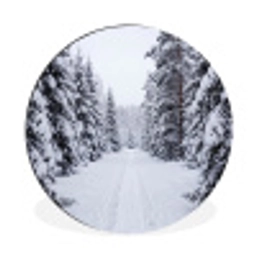 Bos - Winter - Sneeuw - Pad - Natuur Wandcirkel aluminium klein -3d