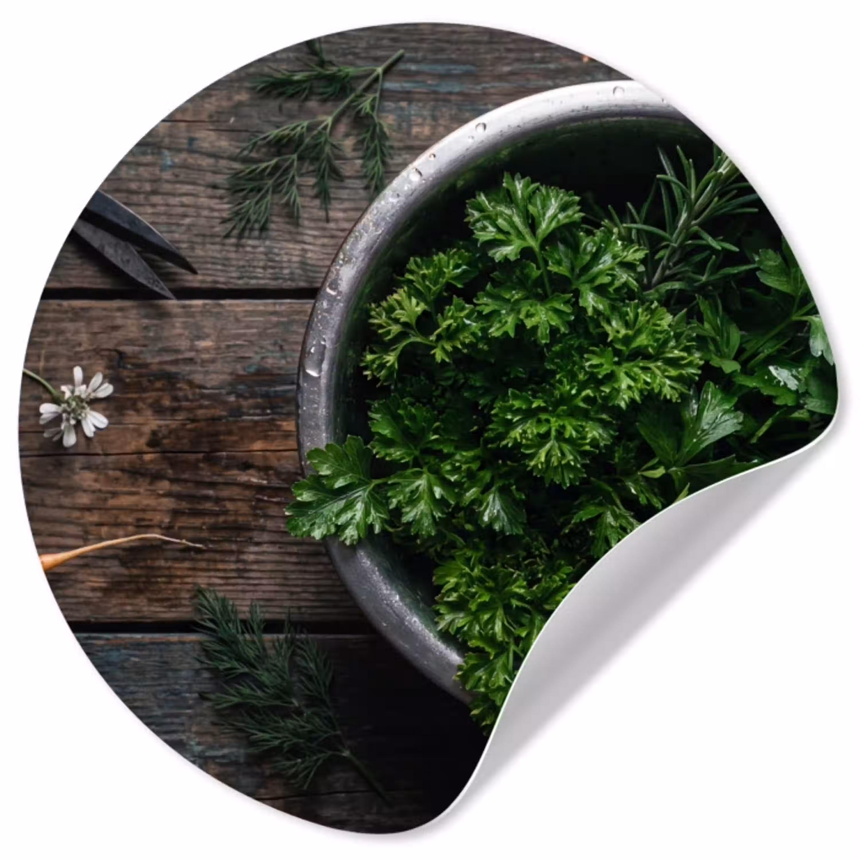 Groenten - Hout - Eten Wandcirkel behangsticker klein -3d