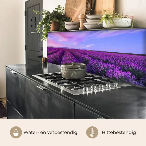Lavendel - Paars - Bloemen - Natuur keuken achterwand 2 middel -usp_NL
