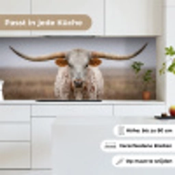 Longhorn - Grasveld - Dier keuken achterwand 2 middel -sfeer4_DE