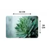 Vetplant - Bladeren - Groen - Wazig Placemat vinyl groot -specs