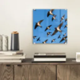 Zwaluwen - Vliegen - Blauw plexiglas 5mm klein -sfeer1