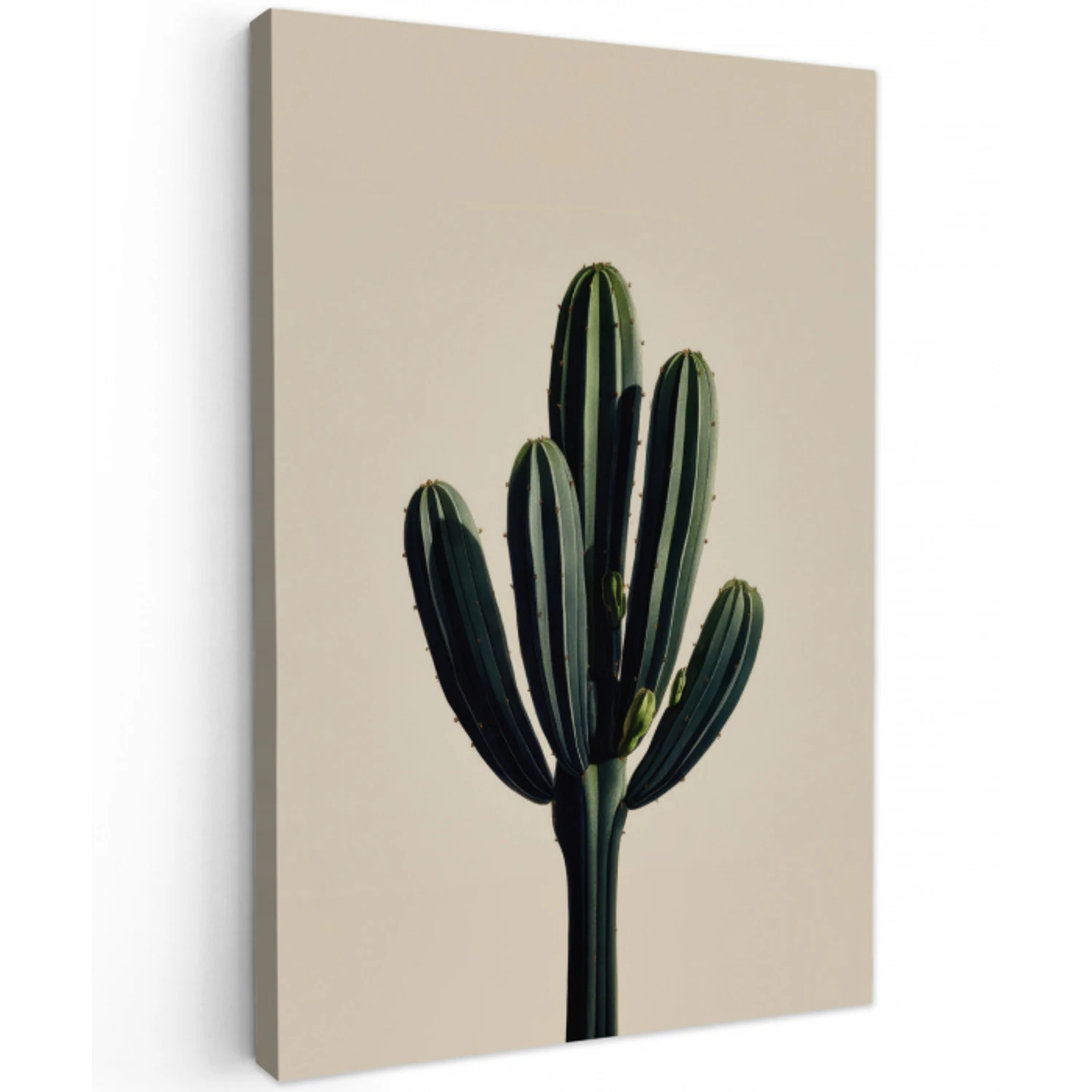 Cactus - Subtiel - Groen Tuinposter op houten frame 2 cm dik klein -3d