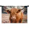 Koe- Schotse hooglander - Hoorns - Bruin - Landschap Wandkleed katoen klein -zz3d