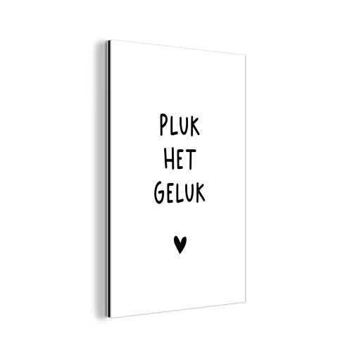 Pluk het geluk - Quotes - Spreuken aluminium wit klein -3d
