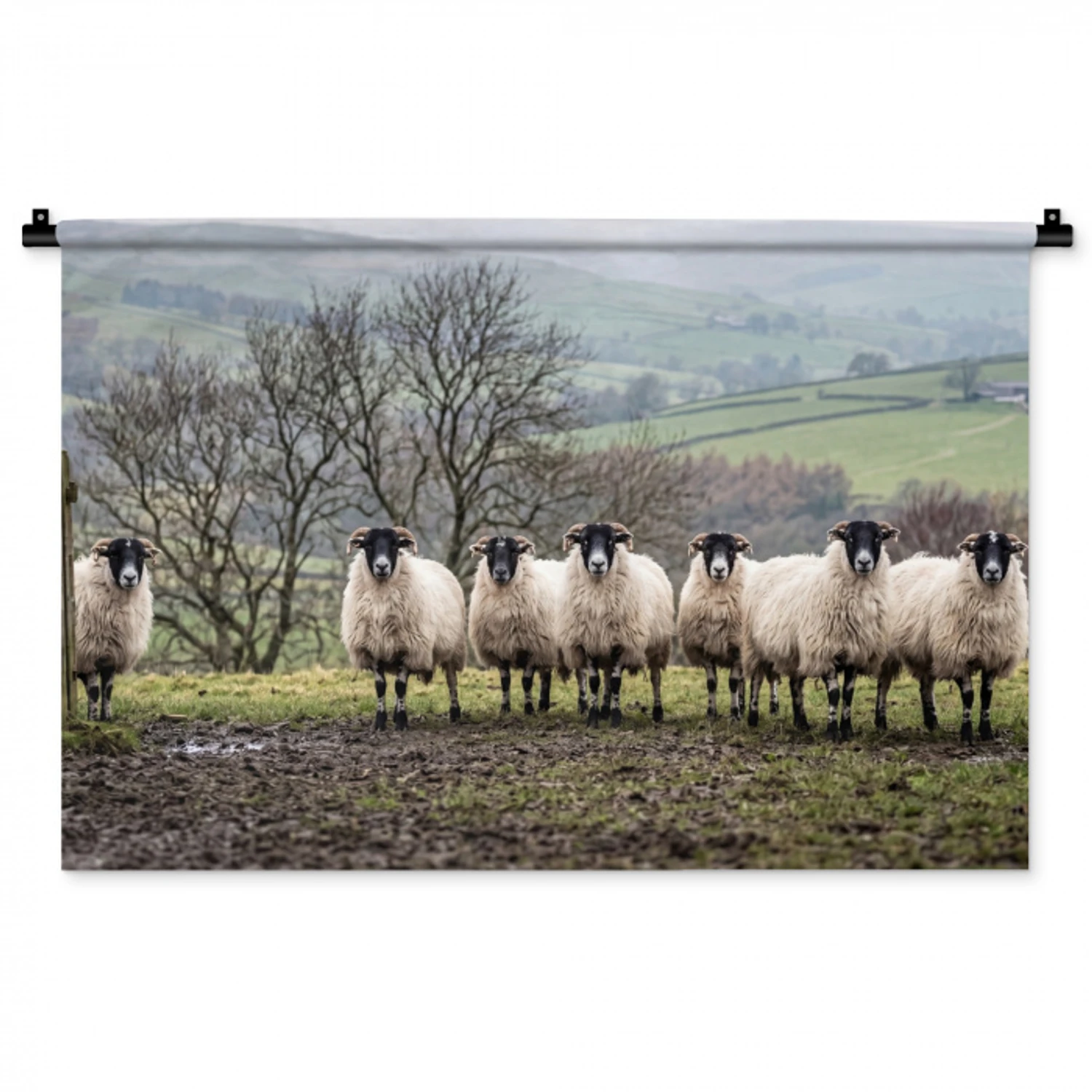 Schapen - Rij - Weide - Dieren - Platteland Wandkleed katoen middel -zz3d