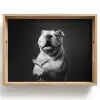 Buldog - Hond - Glas Dienblad Rechthoek middel -z3d_shopping