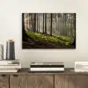 Zon - Takken - Bomen - Bos - Natuur aluminium wit klein -sfeer1