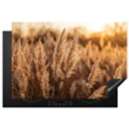 Rietpluimen - Gras - Zonsondergang - Goud - Serene Inductie beschermer vinyl 3mm klein -3d