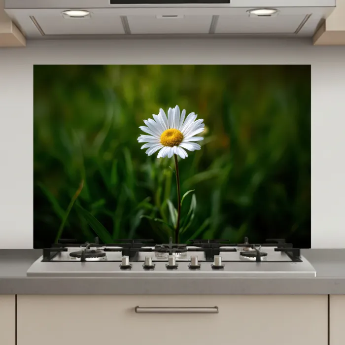 Wit - Madeliefje - Bloem - Gras keuken achterwand spatscherm klein -3d_website