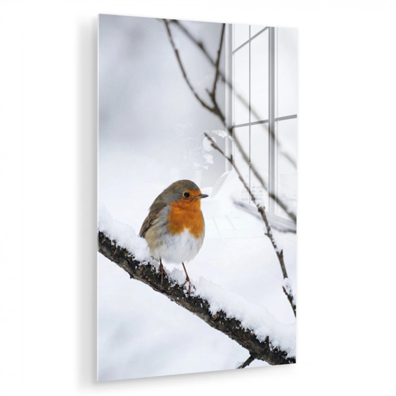 Roodborstje - Tak - Sneeuw - Winter - Levendig plexiglas 5mm klein -zzzproduct_nieuw